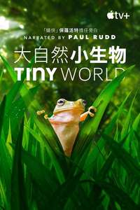 Tiny World - Posters