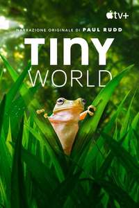 Tiny World - Posters