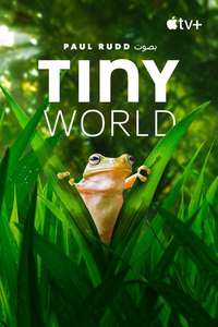 Tiny World - Posters