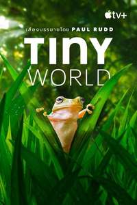 Tiny World - Posters