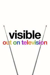 Visible: Out on Television - Posters