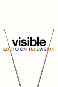 Visible: Out on Television - Posters