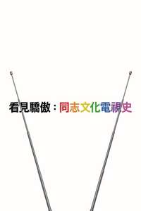 Visible: Out on Television - Posters