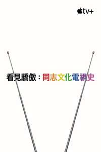 Visible: Out on Television - Posters