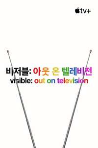 Visible: Out on Television - Posters