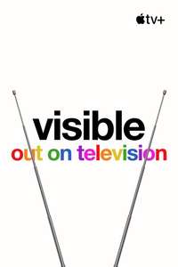 Visible: Out on Television - Posters