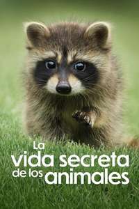 The Secret Lives of Animals - Posters