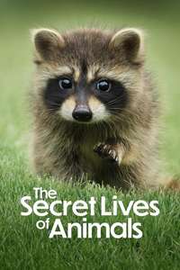 The Secret Lives of Animals - Posters