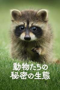 The Secret Lives of Animals - Posters