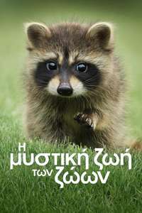 The Secret Lives of Animals - Posters