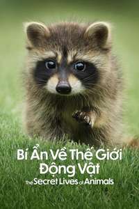The Secret Lives of Animals - Posters