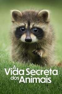 The Secret Lives of Animals - Posters