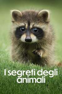 The Secret Lives of Animals - Posters