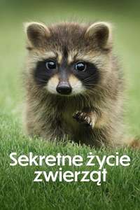 The Secret Lives of Animals - Posters