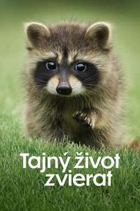 The Secret Lives of Animals - Posters