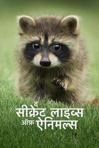 The Secret Lives of Animals - Posters