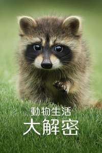 The Secret Lives of Animals - Posters
