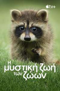 The Secret Lives of Animals - Posters