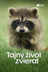 The Secret Lives of Animals - Posters