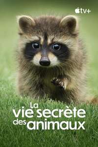 The Secret Lives of Animals - Posters