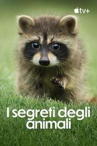 The Secret Lives of Animals - Posters