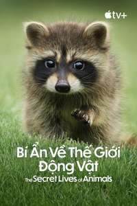The Secret Lives of Animals - Posters