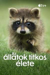 The Secret Lives of Animals - Posters