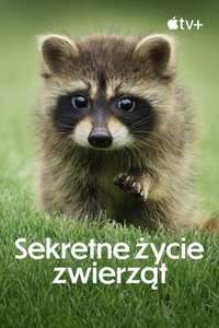 The Secret Lives of Animals - Posters