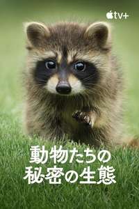 The Secret Lives of Animals - Posters