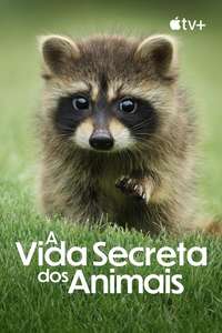 The Secret Lives of Animals - Posters