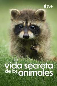 The Secret Lives of Animals - Posters