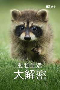 The Secret Lives of Animals - Posters