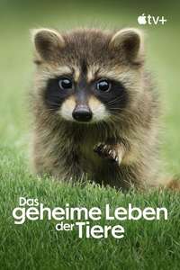 The Secret Lives of Animals - Posters