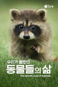 The Secret Lives of Animals - Posters