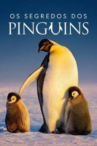 Secrets of the Penguins - Posters