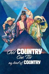 My Kind of Country - Posters