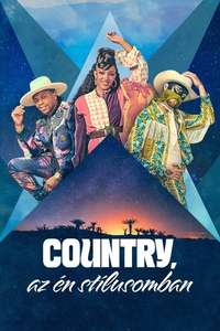My Kind of Country - Posters