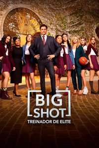 Big Shot - Posters