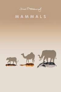 Mammals - Posters