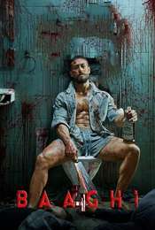 Baaghi 4