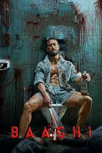 Baaghi 4 - Posters