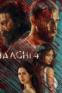 Baaghi 4 - Posters