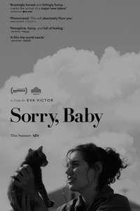 Sorry  Baby - Posters