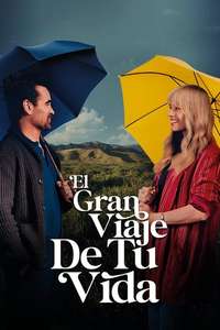A Big Bold Beautiful Journey - Posters