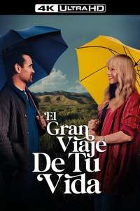 A Big Bold Beautiful Journey - Posters