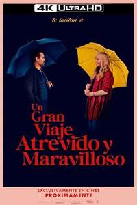 A Big Bold Beautiful Journey - Posters