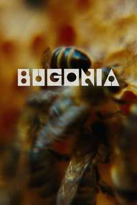 Bugonia - Posters