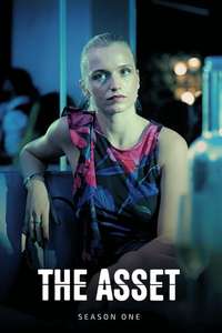 The Asset - Posters