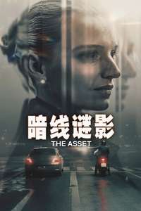 The Asset - Posters