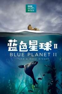 Blue Planet II - Posters